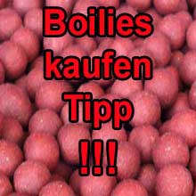 Boilies kaufen Tip