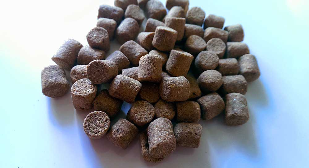 Karpfen Pellets