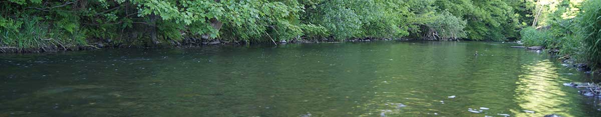 Boilies im Einsatz